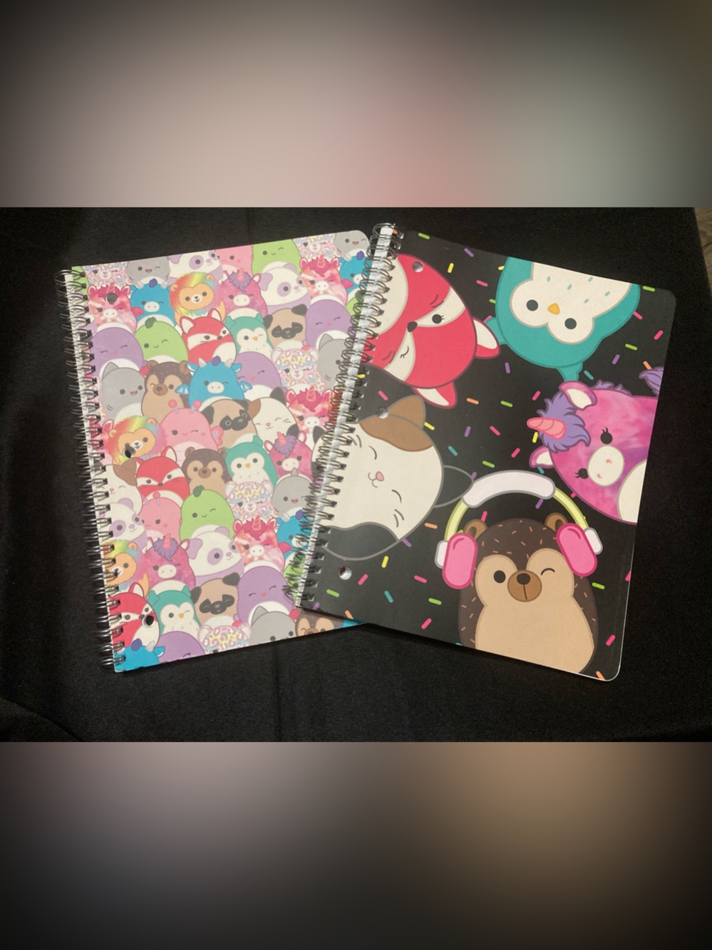 Squishmallows Lined Spiral Notebook Lot of 2 Set Stationery School Supplies